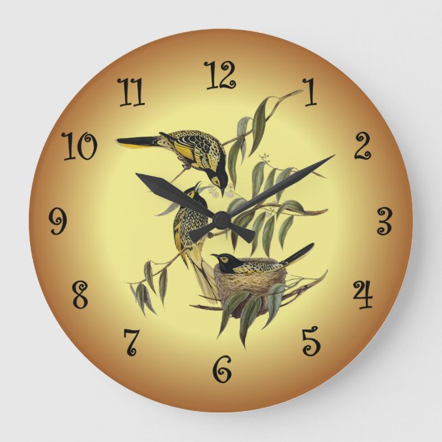 Warty-Faced Honey-Eater ~ Elizabeth Gould 14 ~ Large Clock (Front)