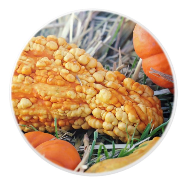 Warty Gourd  Ceramic Knob (Front)