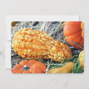 Warty Gourd Invitation