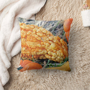 Warty Gourd Throw Pillow