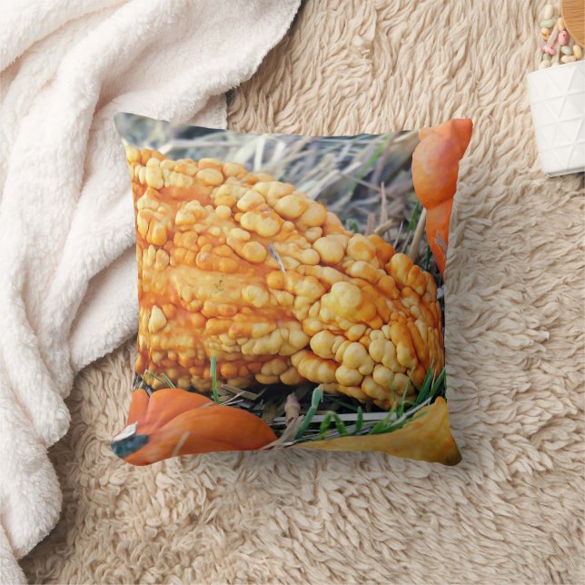 Warty Gourd  Throw Pillow (Blanket)