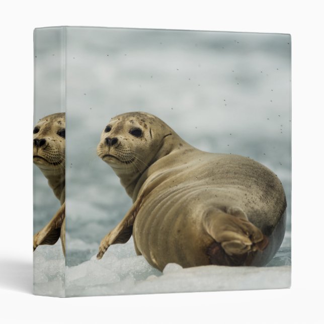 Wary Seal Binder (Front/Spine)