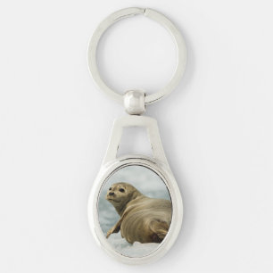 Wary Seal Keychain
