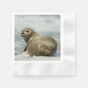 Wary Seal Napkin
