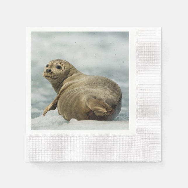Wary Seal Napkin (Front)