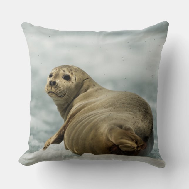 Wary Seal Throw Pillow (Front)