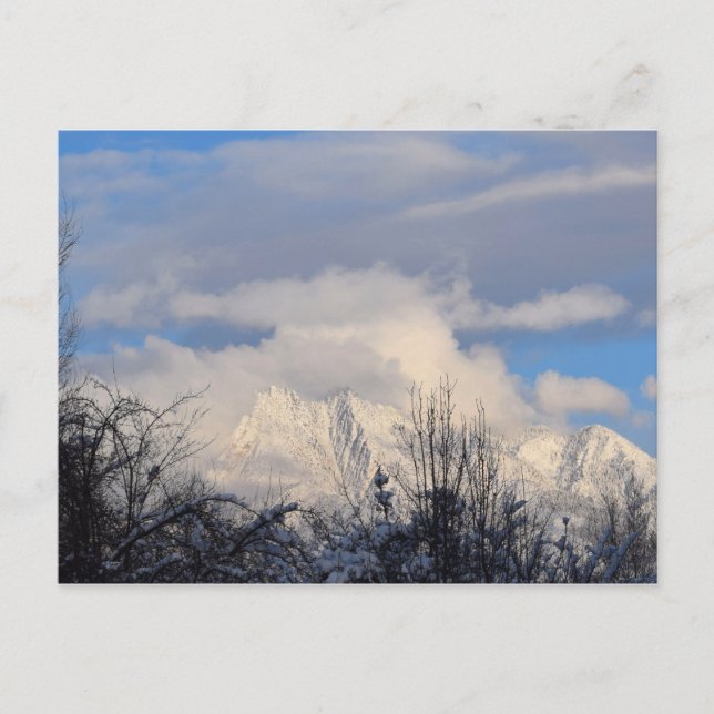 Wasatch Mountains - Utah - Postcard (Front)