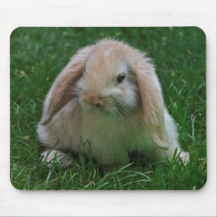 Wascally Wabbit Mousemat Mouse Pad
