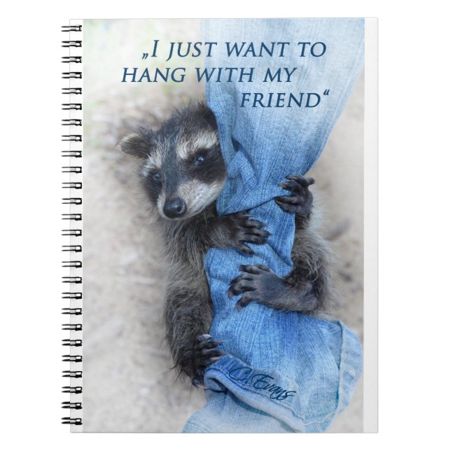 Waschbär  -  Abhängen Notebook (Front)