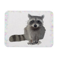 Waschbär