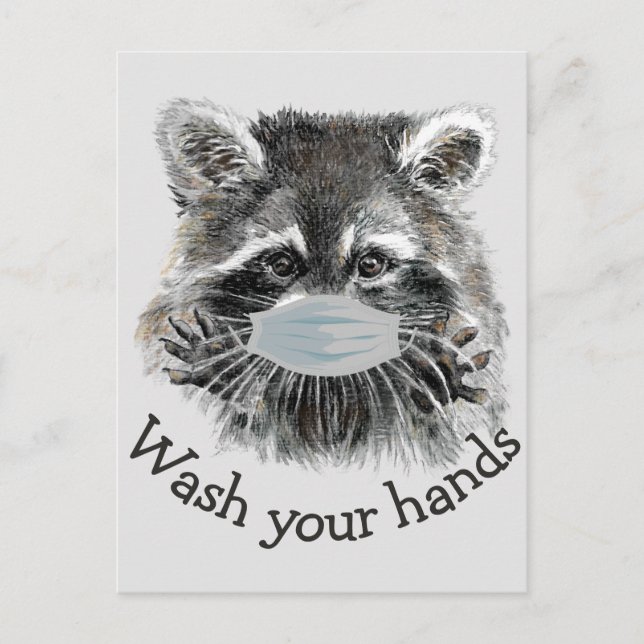 Wash Your Hands Covid Pandemic Cute Raccoon Quote Postcard (Front)