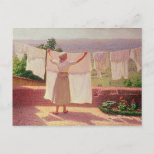 Washing in the Sun Postcard