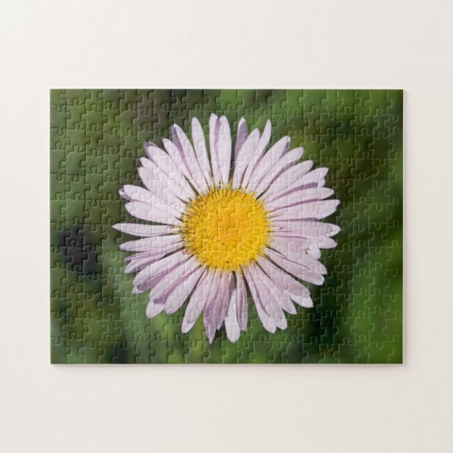 Washington, Cascade Range, Mount Baker Jigsaw Puzzle (Horizontal)