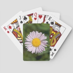 Washington, Cascade Range, Mount Baker Playing Cards