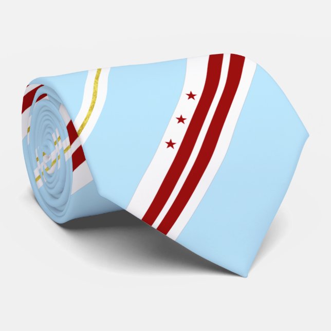 Washington D.C. city flag Neck Tie (Rolled)