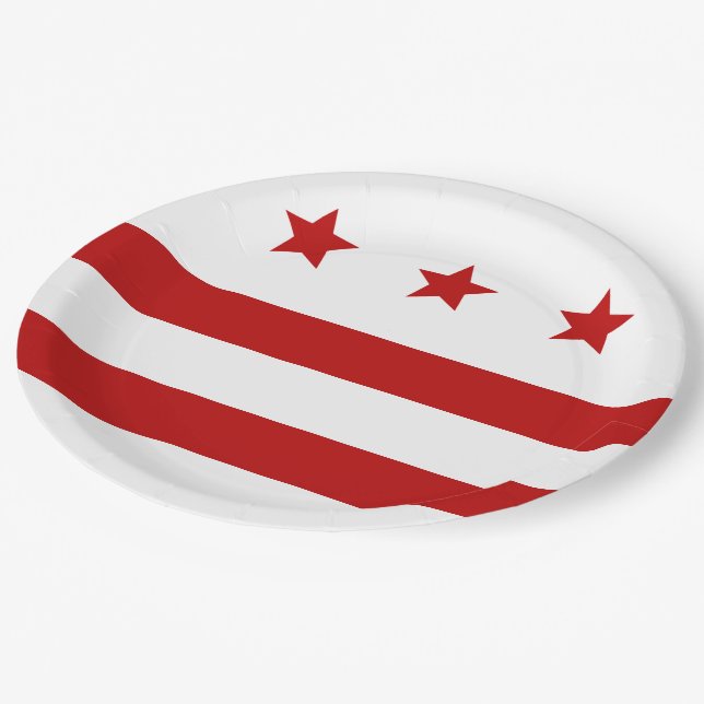 Washington D.C. city flag Paper Plate (Angled)