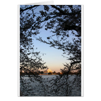 Washington DC Cherry Blossom