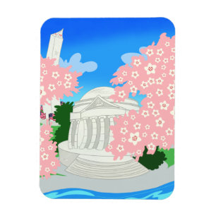 Washington DC Cherry Blossoms Magnet