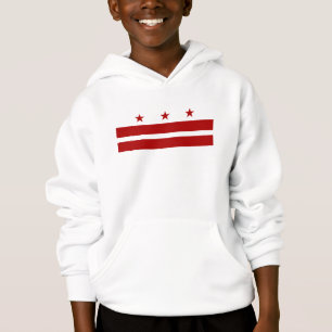 Washington DC Flag