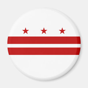Washington DC Flag Magnet