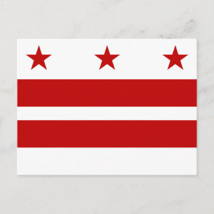 Washington DC flag Postcard