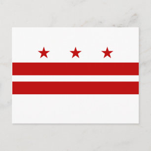 Washington DC Flag Postcard