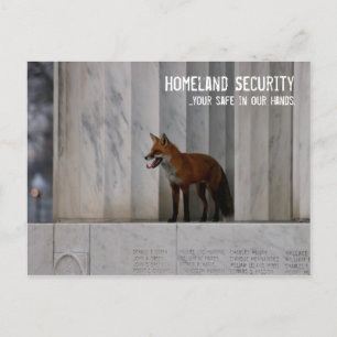 Washington, DC: Homeland Security Humour Postcard