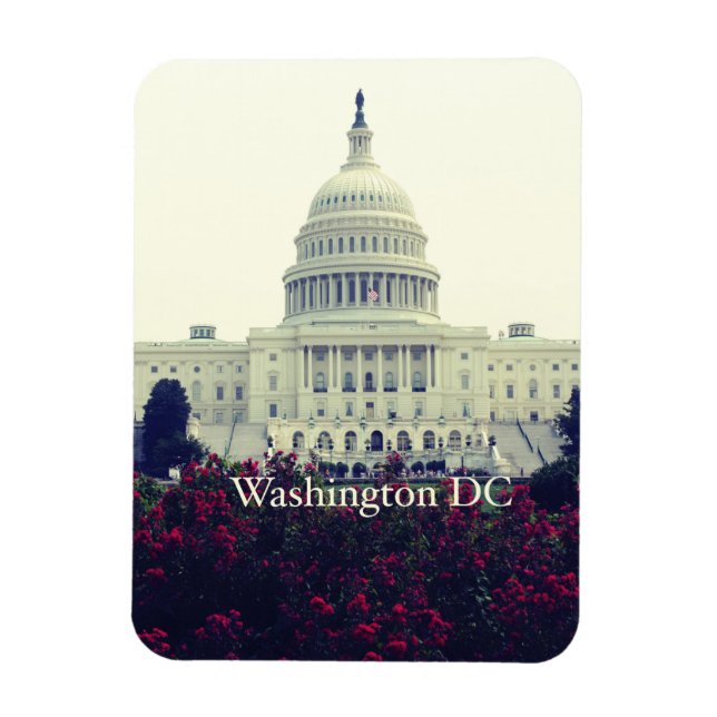 Washington DC Magnet (Vertical)