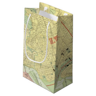 Washington, DC Small Gift Bag