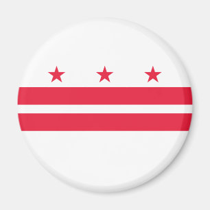Washington DC State Flag Magnet