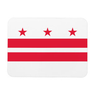 Washington DC State Flag Magnet