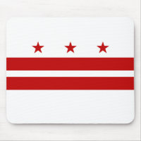 Washington DC State Flag