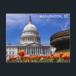 Washington DC United States Capitol Building Postcard<br><div class="desc">Anyone would love to receive this beautiful travel photo postcard featuring the United States Capitol Building in Washington DC!</div>