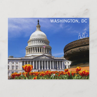 Washington DC United States Capitol Building Postcard