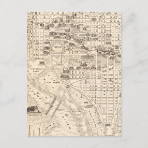 Washington DC Vintage Map  Postcard