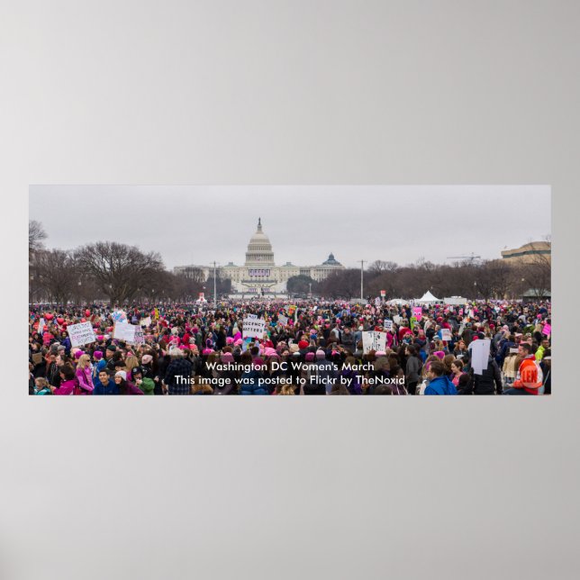 Washington DC Women's March 2017 Poster (Front)