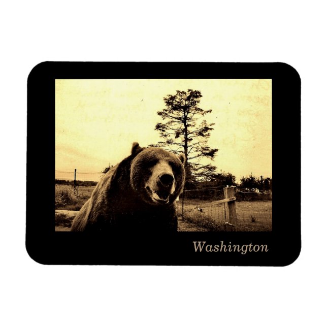 Washington Magnet (Horizontal)