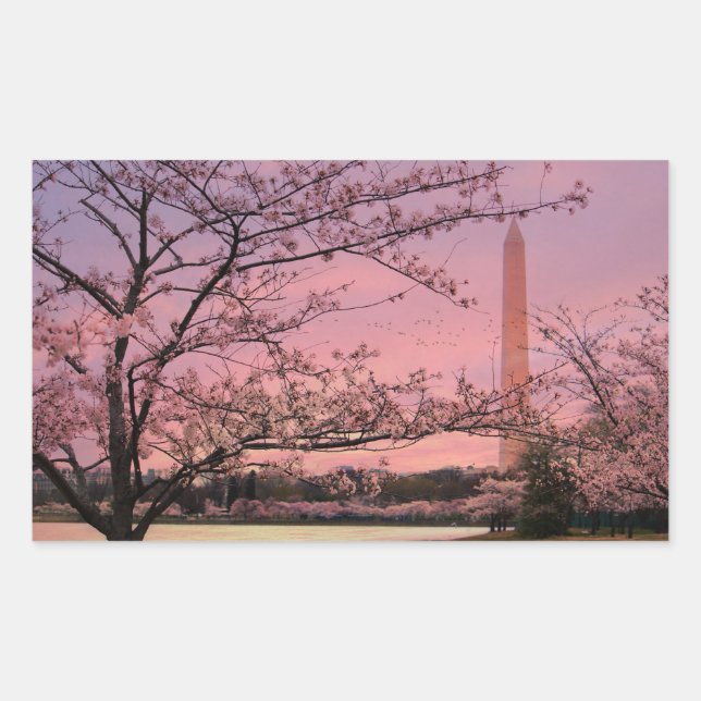 Washington Monument Cherry Blossom Festival Sticker (Front)