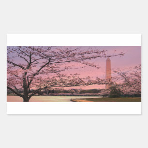 Washington Monument Cherry Blossom Festival Sticker