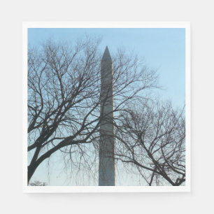 Washington Monument in Winter I Landscape Napkin