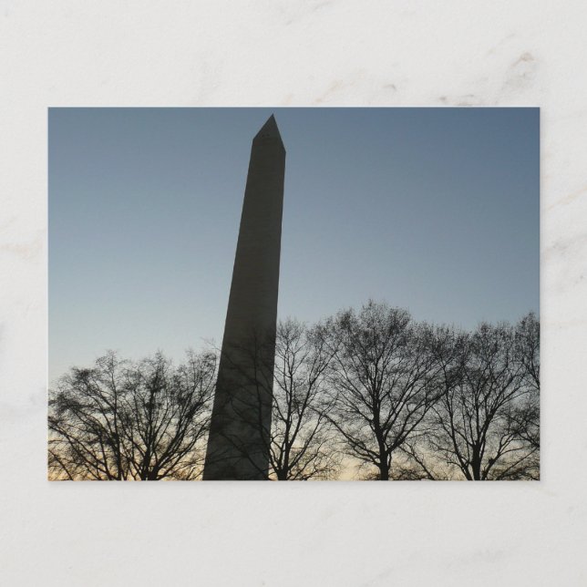 Washington Monument in Winter II Landscape Postcard (Front)