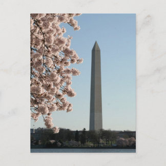Washington Monument Postcard