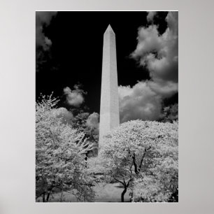 Washington Monument Poster
