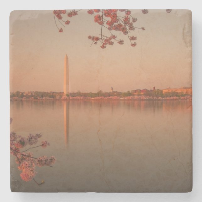 Washington Monument Sakura at sunset. Stone Coaster (Front)