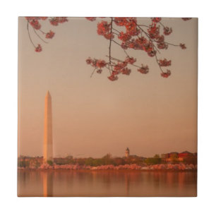 Washington Monument Sakura at sunset. Tile