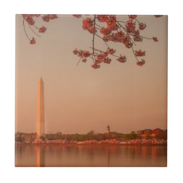 Washington Monument Sakura at sunset. Tile (Front)