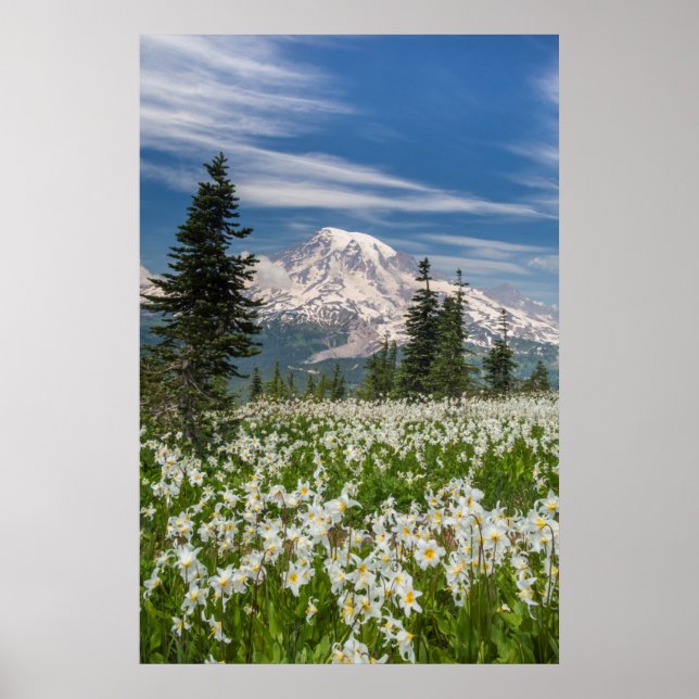 Washington, Mount Rainier National Park 1 Poster (Front)