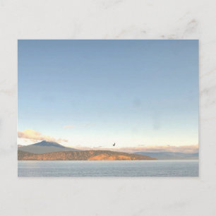 Washington Mountain Lake Pacific Northwest Postcard
