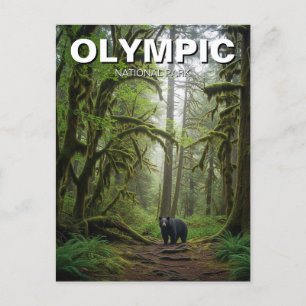 Washington olympic national park hoh rainforest postcard