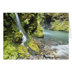 Washington, Olympic National Park, saison
